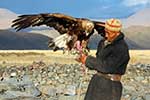 /blog/golden-eagle-festival